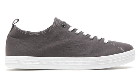 Grey/White